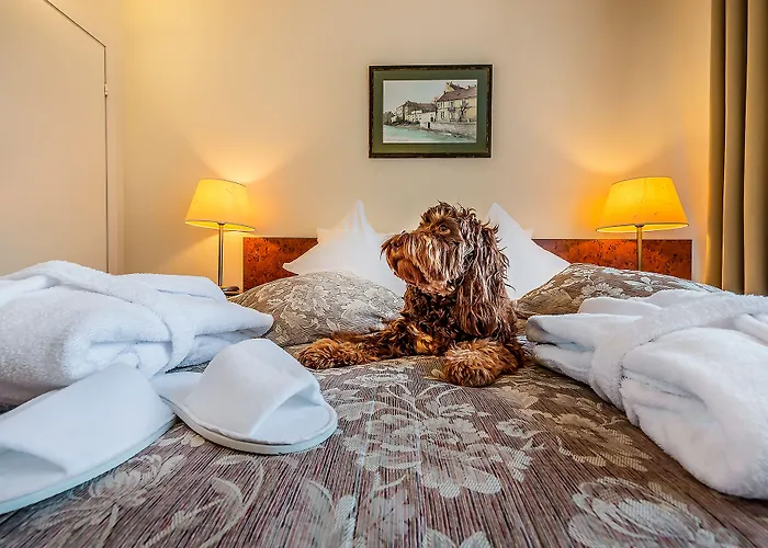 Szálloda Grata By Centrum 3*