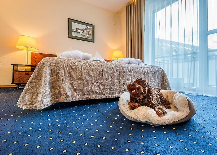 Szálloda Grata By Centrum 3*