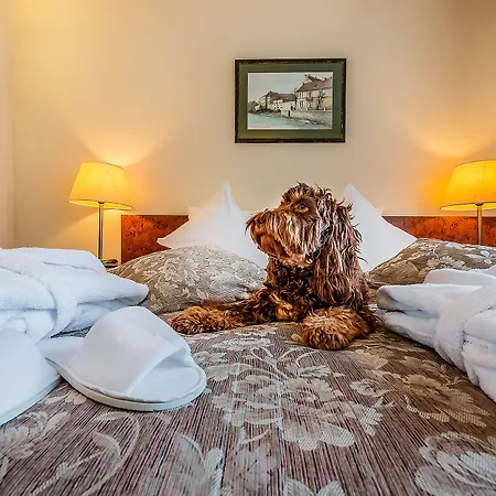 Hotel Grata By Centrum 3*